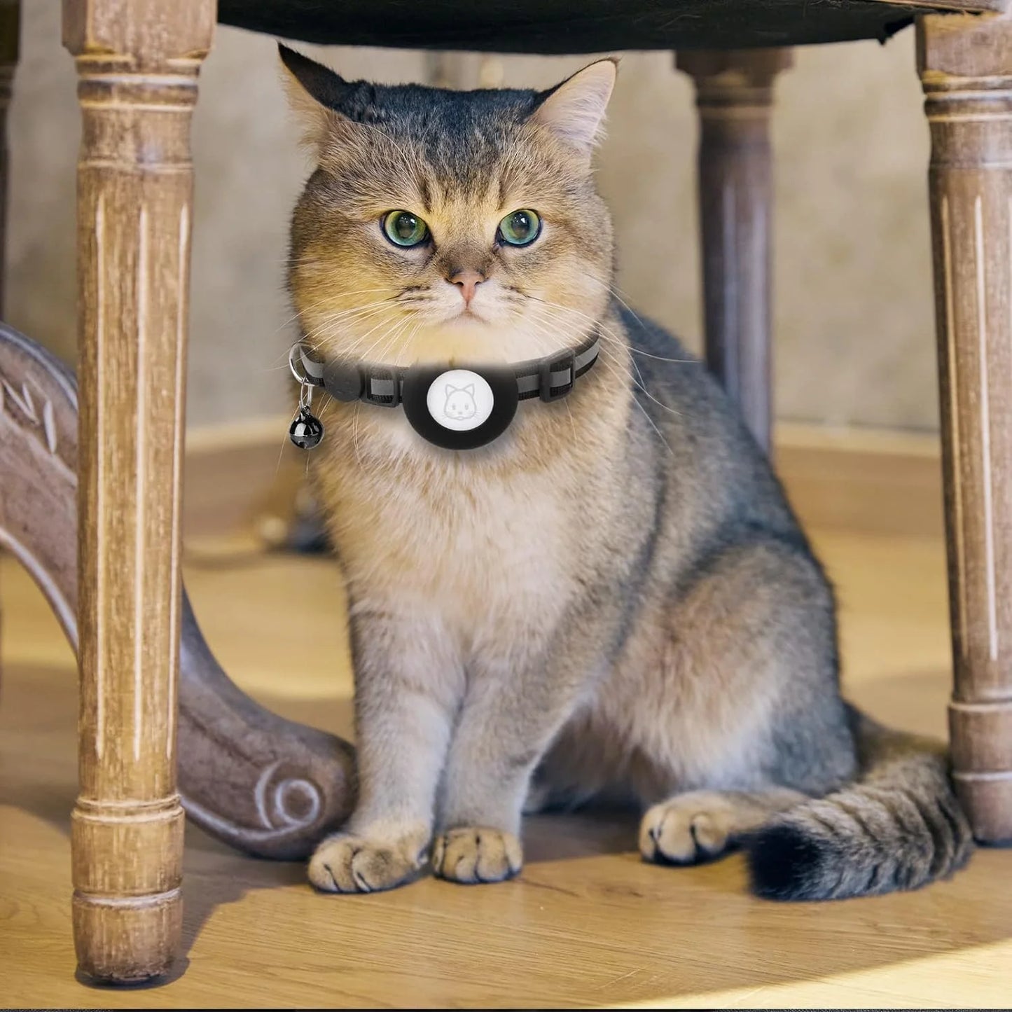 GuardianTag Collar