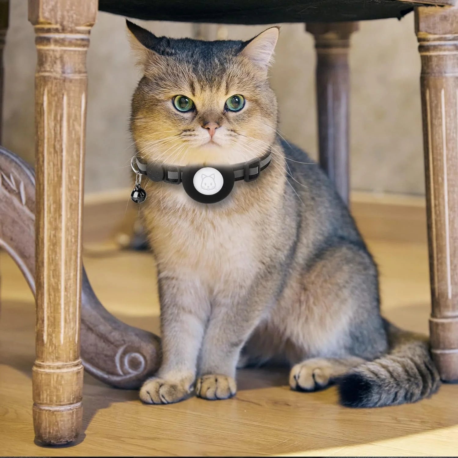 GuardianTag Collar